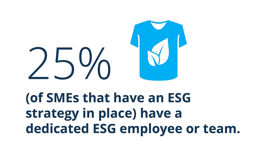 25% (of SMEs that have an ESG strategy in place) have a dedicated ESG employee or team.